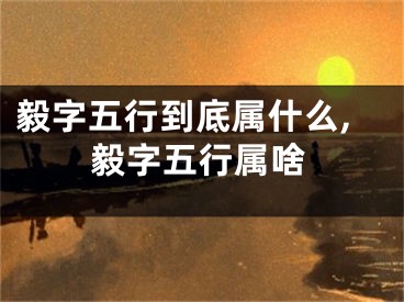 毅字五行到底属什么,毅字五行属啥