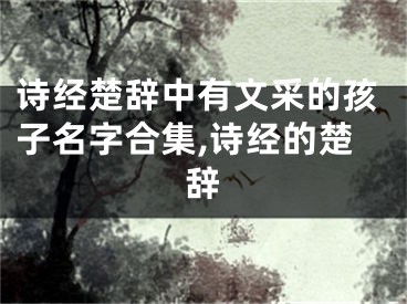 诗经楚辞中有文采的孩子名字合集,诗经的楚辞