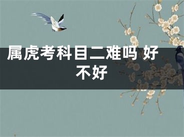 属虎考科目二难吗 好不好