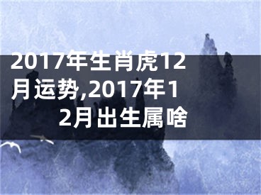 2017年生肖虎12月运势,2017年12月出生属啥