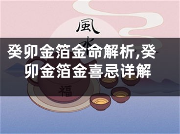 癸卯金箔金命解析,癸卯金箔金喜忌详解