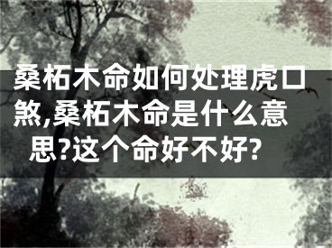 桑柘木命如何处理虎口煞,桑柘木命是什么意思?这个命好不好?