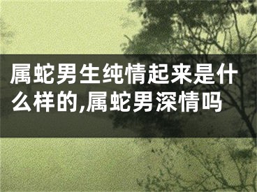 属蛇男生纯情起来是什么样的,属蛇男深情吗