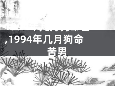 1994年几月狗命苦,1994年几月狗命苦男