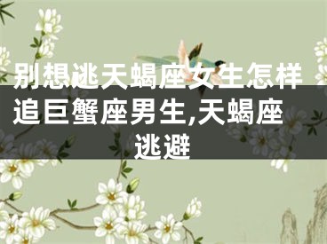 别想逃天蝎座女生怎样追巨蟹座男生,天蝎座逃避