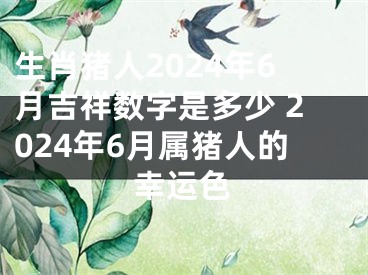 生肖猪人2024年6月吉祥数字是多少 2024年6月属猪人的幸运色