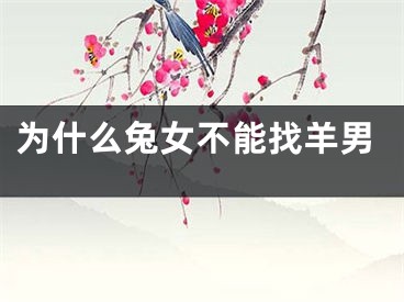 为什么兔女不能找羊男