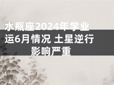 水瓶座2024年学业运6月情况 土星逆行影响严重 