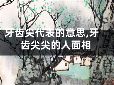 牙齿尖代表的意思,牙齿尖尖的人面相