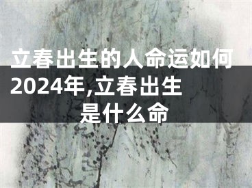 立春出生的人命运如何2024年,立春出生是什么命