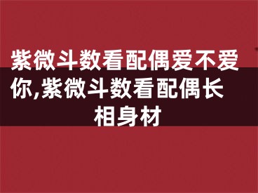 紫微斗数看配偶爱不爱你,紫微斗数看配偶长相身材