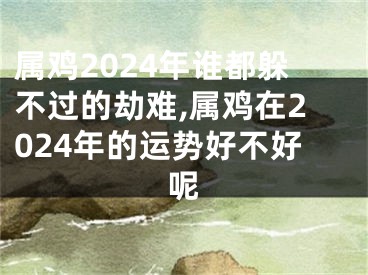 属鸡2024年谁都躲不过的劫难,属鸡在2024年的运势好不好呢