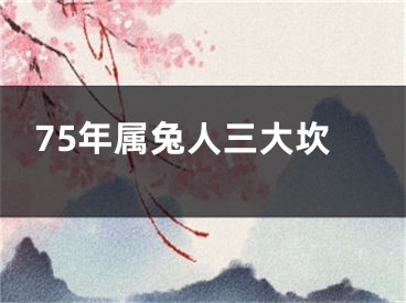 75年属兔人三大坎