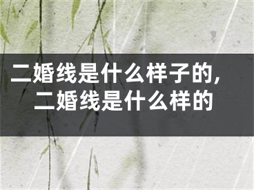 二婚线是什么样子的,二婚线是什么样的