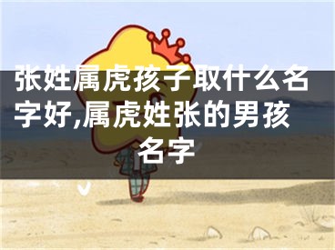 张姓属虎孩子取什么名字好,属虎姓张的男孩名字