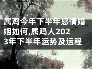 属鸡今年下半年感情婚姻如何,属鸡人2023年下半年运势及运程