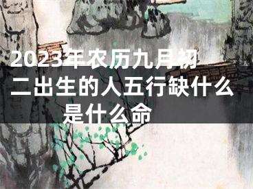 2023年农历九月初二出生的人五行缺什么 是什么命 