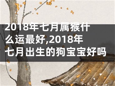 2018年七月属猴什么运最好,2018年七月出生的狗宝宝好吗