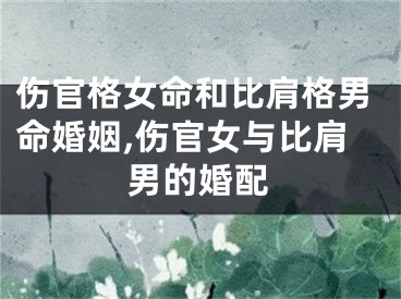 伤官格女命和比肩格男命婚姻,伤官女与比肩男的婚配