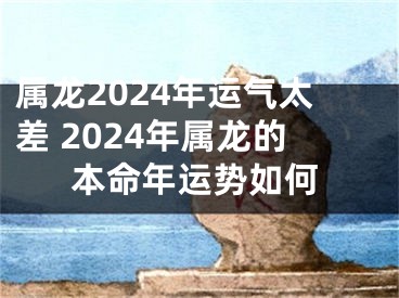 属龙2024年运气太差 2024年属龙的本命年运势如何
