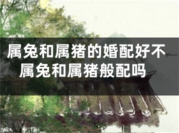 属兔和属猪的婚配好不 属兔和属猪般配吗