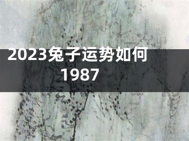 2023兔子运势如何1987