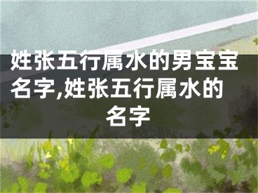 姓张五行属水的男宝宝名字,姓张五行属水的名字