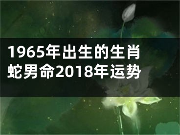 1965年出生的生肖蛇男命2018年运势