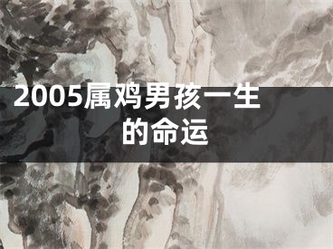 2005属鸡男孩一生的命运