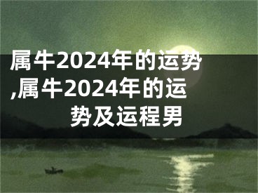 属牛2024年的运势,属牛2024年的运势及运程男
