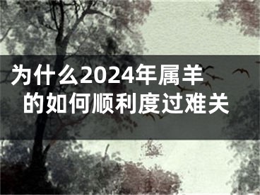为什么2024年属羊的如何顺利度过难关