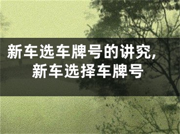 新车选车牌号的讲究,新车选择车牌号