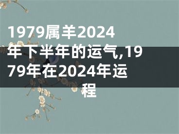 1979属羊2024年下半年的运气,1979年在2024年运程