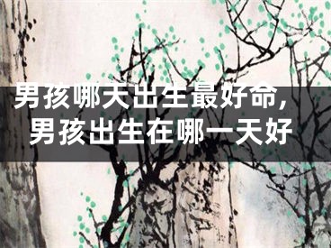 男孩哪天出生最好命,男孩出生在哪一天好