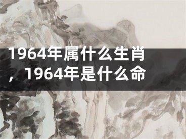 1964年属什么生肖，1964年是什么命