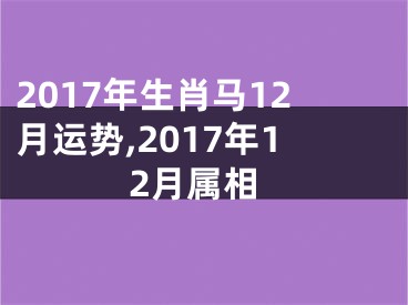 2017年生肖马12月运势,2017年12月属相