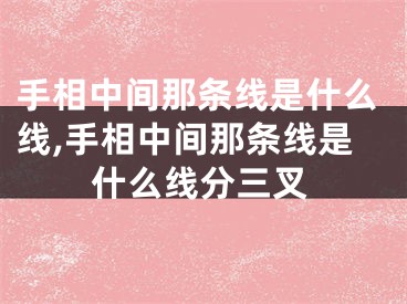 手相中间那条线是什么线,手相中间那条线是什么线分三叉