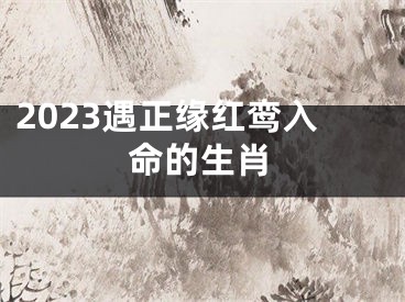 2023遇正缘红鸾入命的生肖