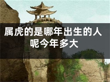 属虎的是哪年出生的人呢今年多大