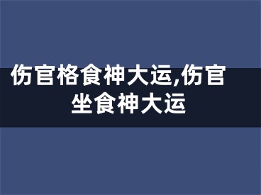 伤官格食神大运,伤官坐食神大运