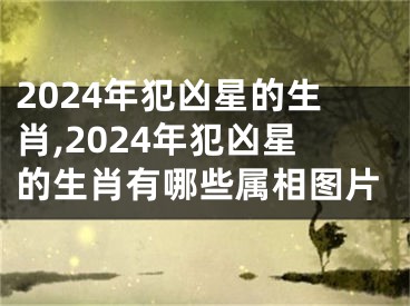 2024年犯凶星的生肖,2024年犯凶星的生肖有哪些属相图片