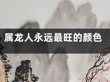 属龙人永远最旺的颜色