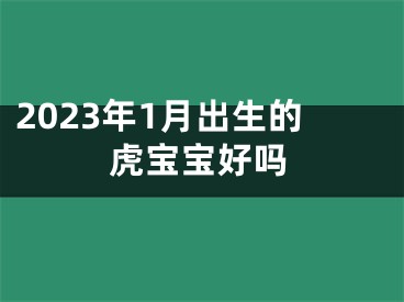 2023年1月出生的虎宝宝好吗