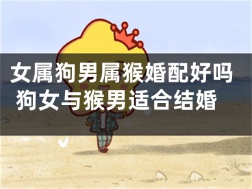 女属狗男属猴婚配好吗 狗女与猴男适合结婚