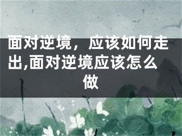 面对逆境，应该如何走出,面对逆境应该怎么做