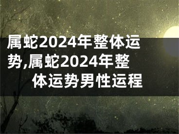 属蛇2024年整体运势,属蛇2024年整体运势男性运程