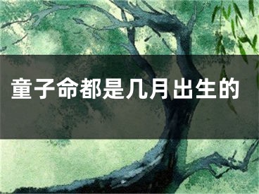 童子命都是几月出生的