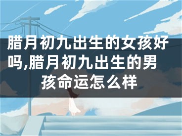 腊月初九出生的女孩好吗,腊月初九出生的男孩命运怎么样