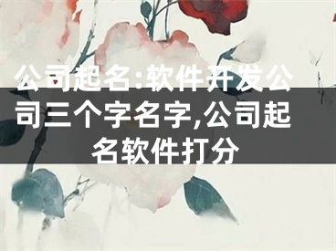 公司起名:软件开发公司三个字名字,公司起名软件打分