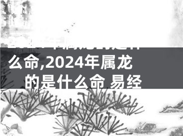 2024年属龙的是什么命,2024年属龙的是什么命 易经